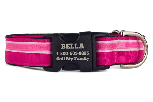BarkBright Custom Engraved Stripe Dog Collar